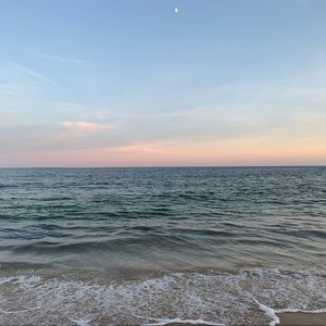 Meet your Posher, Cordelia